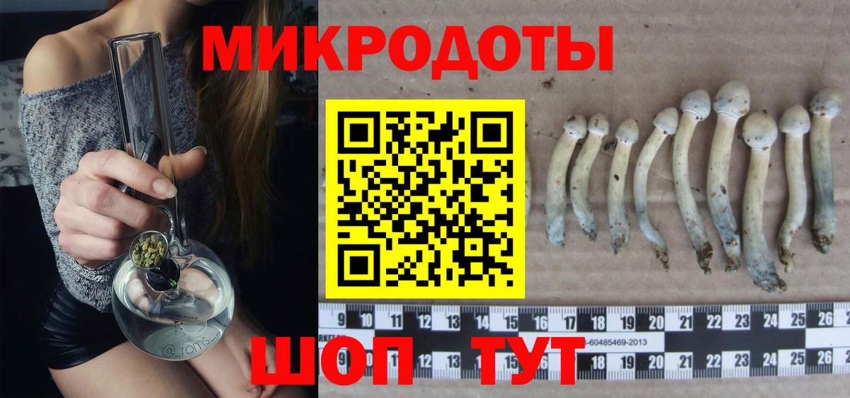Галлюциногенные грибы Magic Shrooms Полысаево