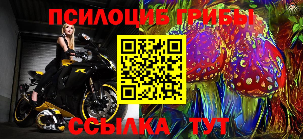 Галлюциногенные грибы Psilocybe  купить наркоту  Полысаево  Галлюциногенные грибы MAGIC MUSHROOMS  Вход с VPN 